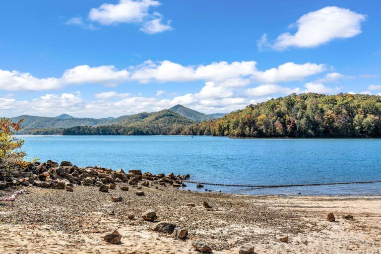 Discover Lake Blue Ridge Homes - North GA